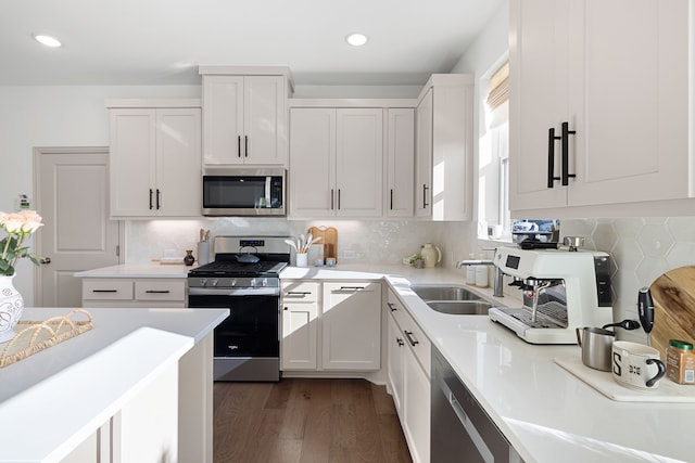 kitchen featuring light countertops, a sink, dark wood finished floors, and stainless steel appliances