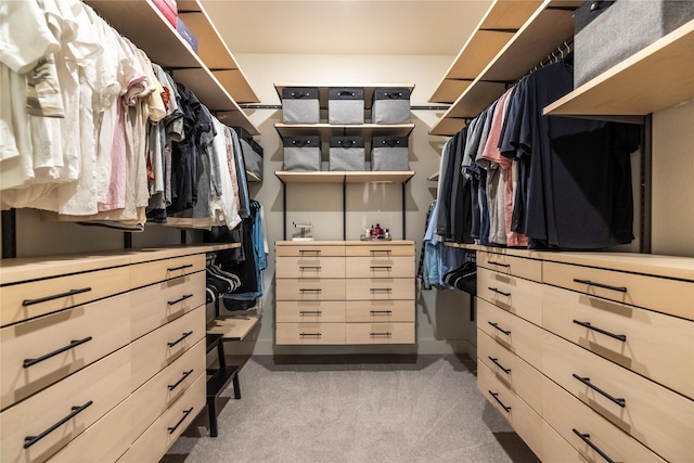 1400 Island Vista Dr, Arlington, TX 76005 - walk in closet featuring light colored carpet
