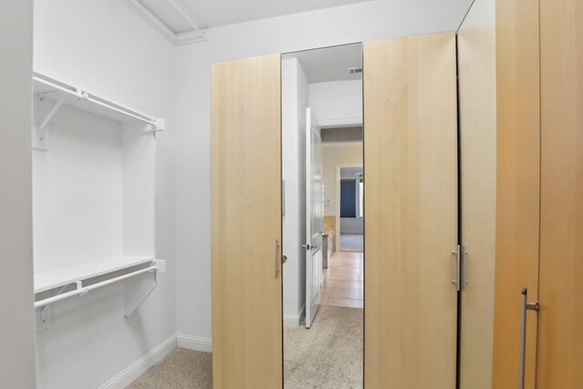 spacious closet with light colored carpet