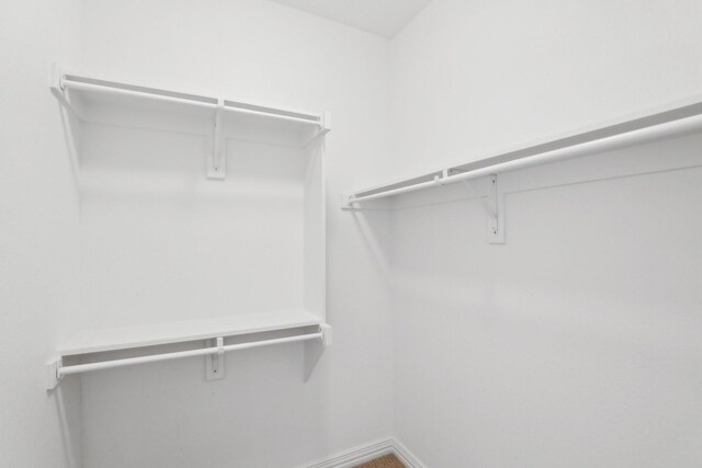 view of walk in closet
