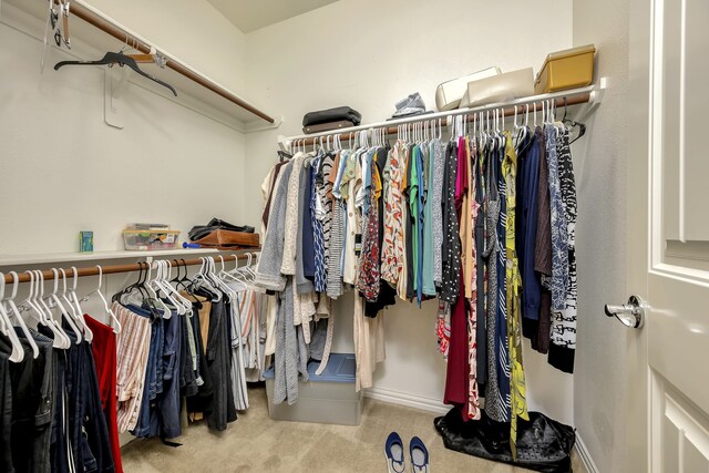 walk in closet with carpet