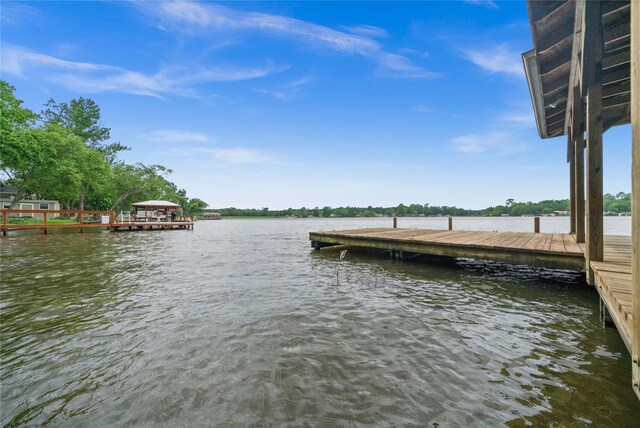 dock area with a water view