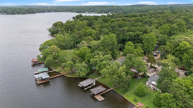 bird's eye view with a water view and a view of trees