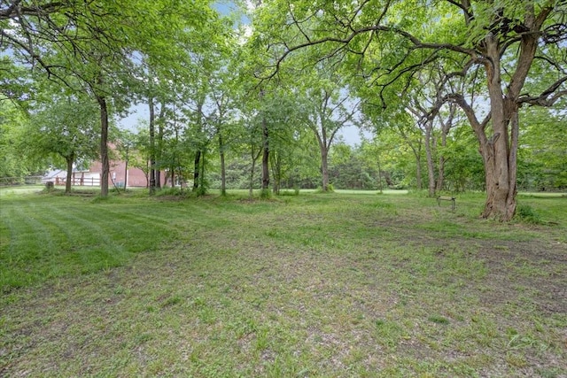 view of yard