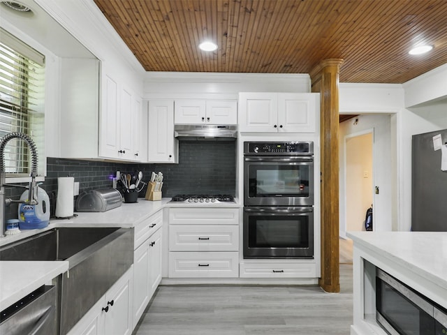 2802 Cinnamon Springs Rd, Glenn Heights, TX 75154 - kitchen with crown molding, a sink, under cabinet range hood, and stainless steel appliances