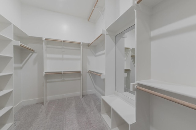 spacious closet featuring carpet flooring
