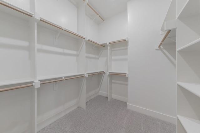 walk in closet with carpet floors