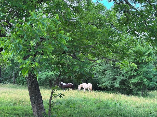 46916 US Highway 69 N, Bullard, TX 75757 - view of landscape