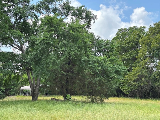 46916 US Highway 69 N, Bullard, TX 75757 - view of yard with a detached carport and a wooded view
