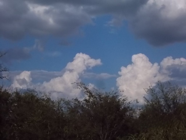46916 US Highway 69 N, Bullard, TX 75757 - view of landscape