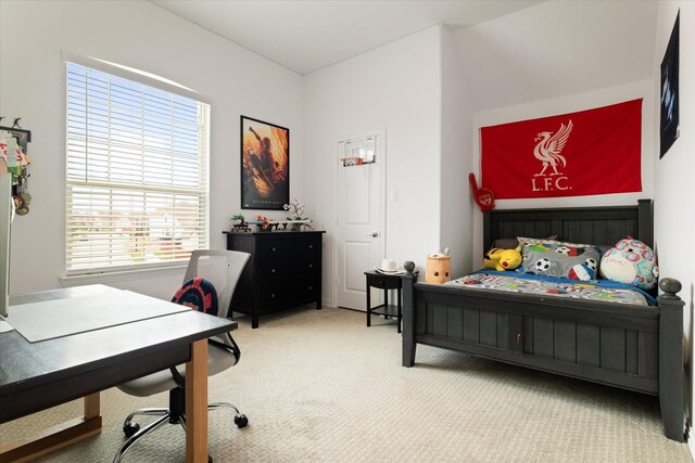 bedroom with carpet flooring