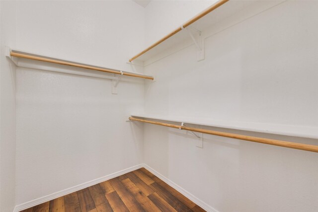 spacious closet featuring dark wood finished floors