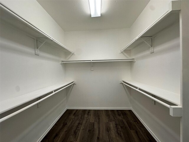 walk in closet featuring dark wood finished floors