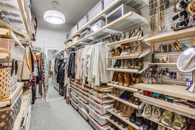 spacious closet featuring carpet floors