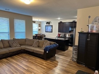 1206 Erika, Forney, TX 75126 - living room with wood finished floors