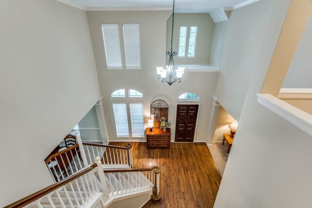 entryway featuring a chandelier, a wealth of natural light, wood finished floors, and a towering ceiling