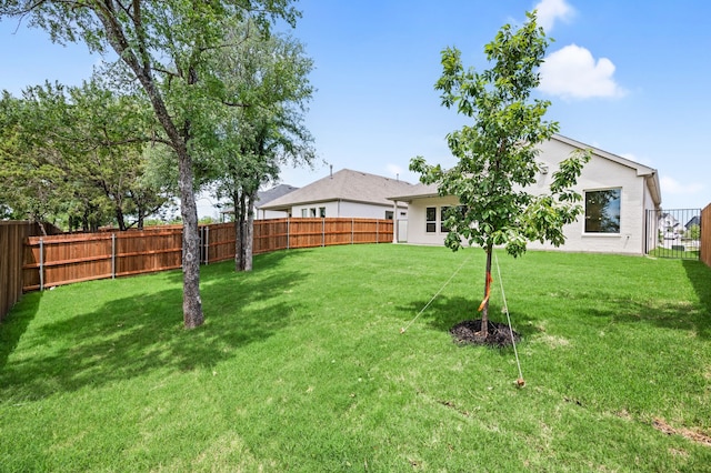 201 Kingfisher Ct, Aledo, TX 76008 - view of yard