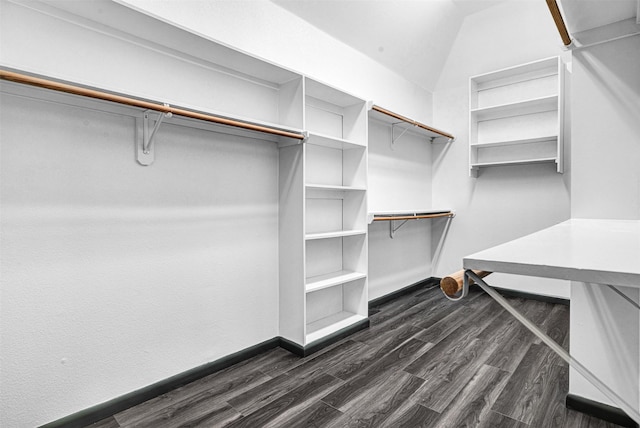spacious closet featuring dark wood finished floors