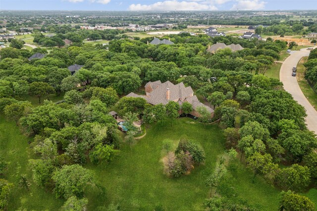 drone / aerial view