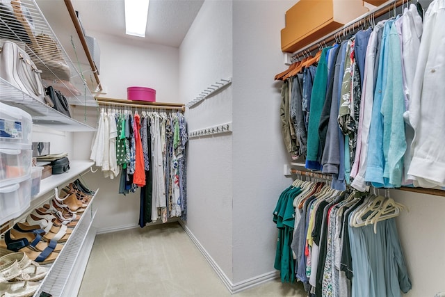 walk in closet featuring carpet flooring