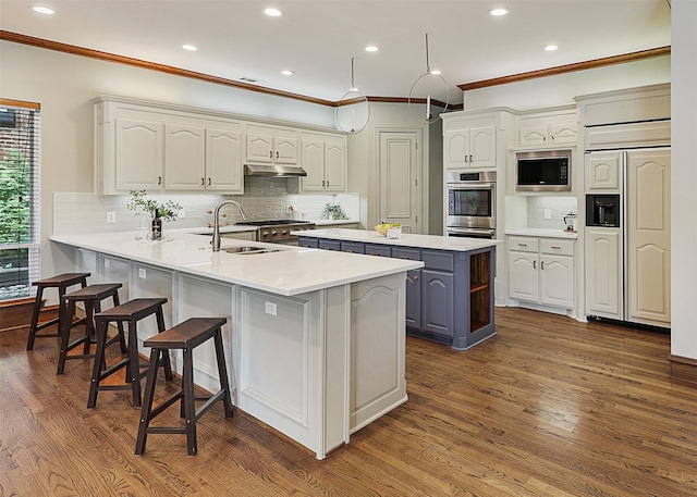 kitchen featuring a sink, ornamental molding, and dark wood finished floors
