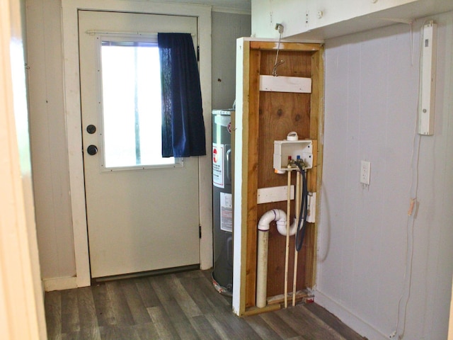 foyer featuring water heater, dark wood-style floors, and a healthy amount of sunlight