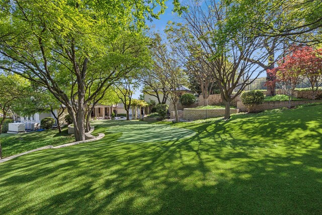 view of yard