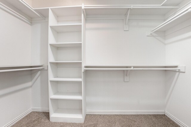 spacious closet with carpet flooring