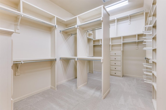 walk in closet featuring carpet