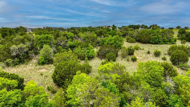view of nature