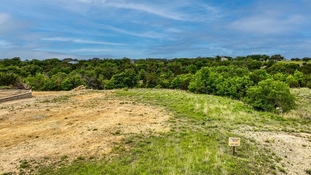 view of local wilderness