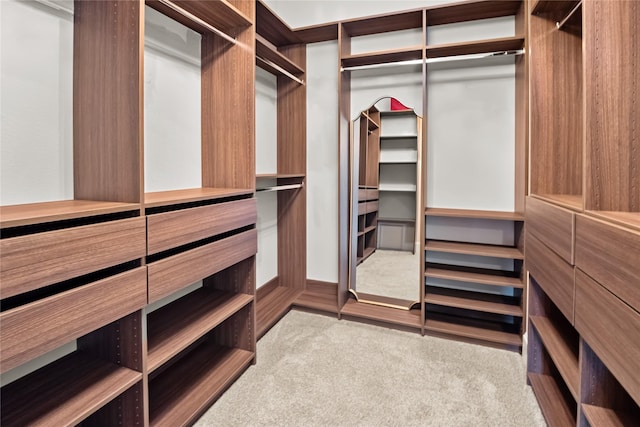 walk in closet featuring carpet
