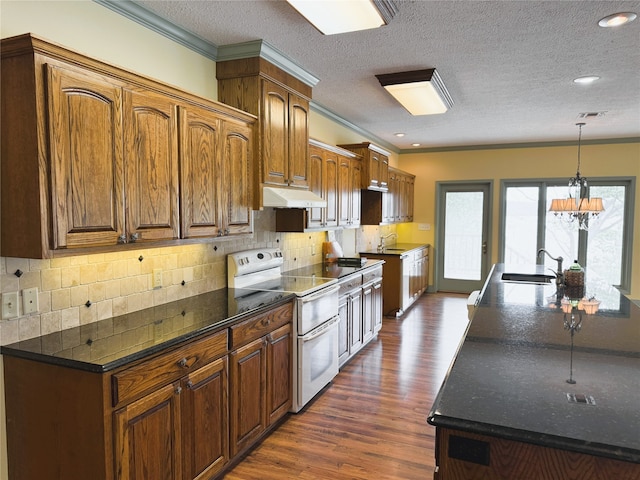 kitchen featuring range with two ovens, crown molding, a sink, under cabinet range hood, and dark wood-type flooring