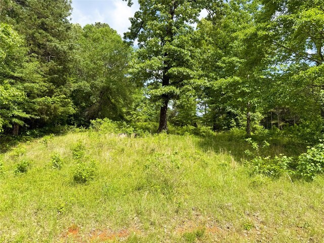 view of landscape featuring a wooded view