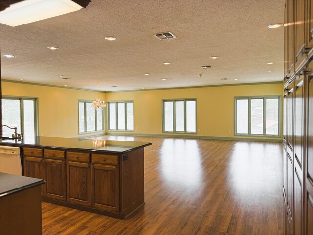 kitchen with plenty of natural light, a textured ceiling, white dishwasher, dark countertops, and dark wood finished floors