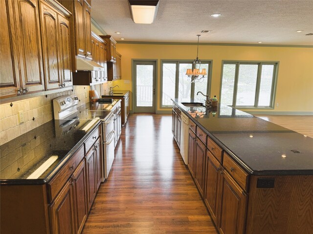 kitchen featuring decorative backsplash, dark wood-style flooring, under cabinet range hood, a large island with sink, and electric stove