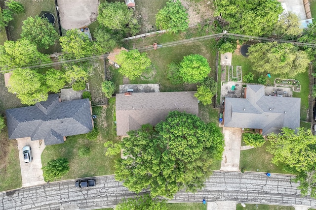 bird's eye view