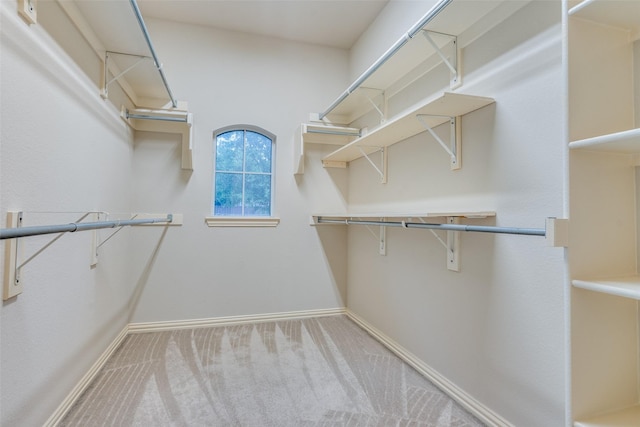 walk in closet featuring carpet floors