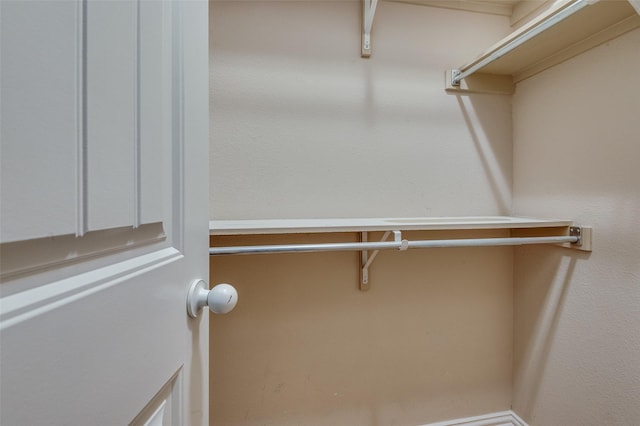 2372 Homewood Ln, Grand Prairie, TX 75050 - view of spacious closet