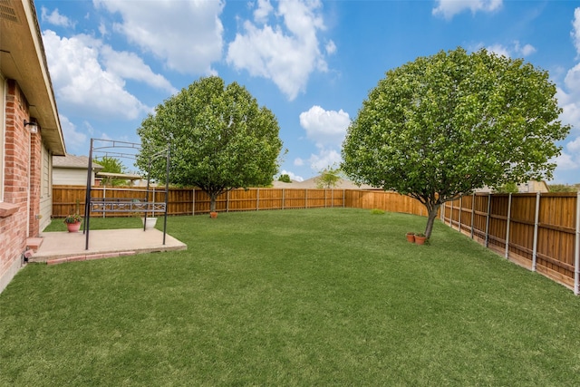 view of yard with a patio and a fenced backyard