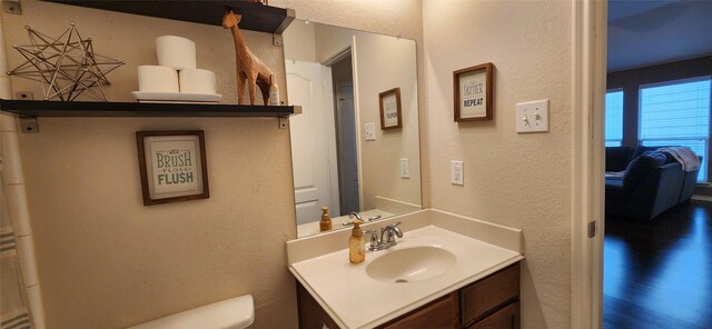 bathroom featuring vanity, a textured wall, and toilet