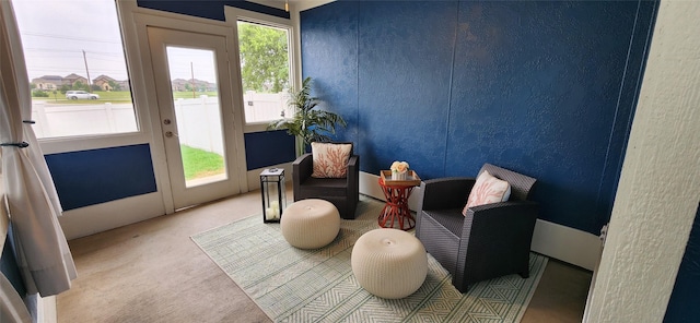 1213 Charleston Ln, Savannah, TX 76227 - sitting room with carpet floors