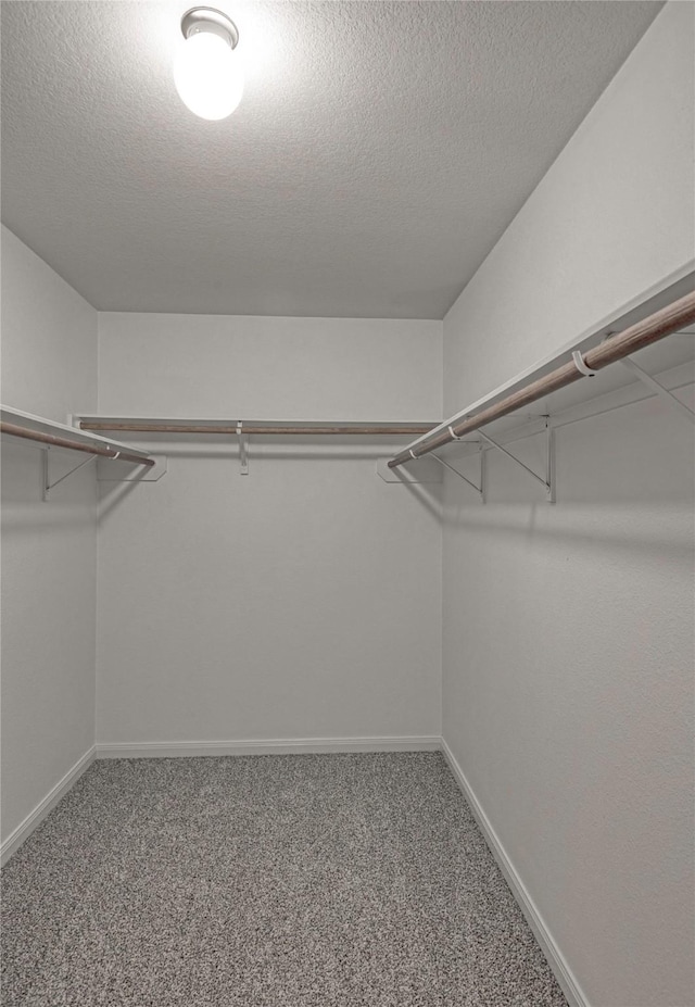604 Hidden Dale Dr, Fort Worth, TX 76140 - spacious closet with carpet