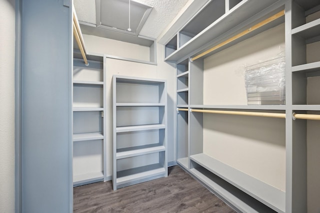 1706 Delaford Cir, Carrollton, TX 75007 - walk in closet featuring dark wood finished floors
