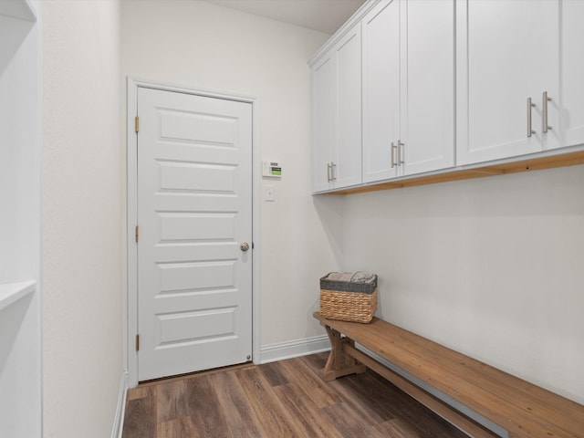 3601 Keechi Creek Dr, Celina, TX 75078 - mudroom featuring dark wood finished floors and baseboards