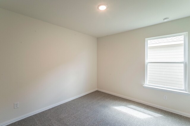 empty room with baseboards, carpet, and a wealth of natural light