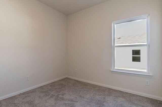 carpeted spare room with baseboards and a wealth of natural light
