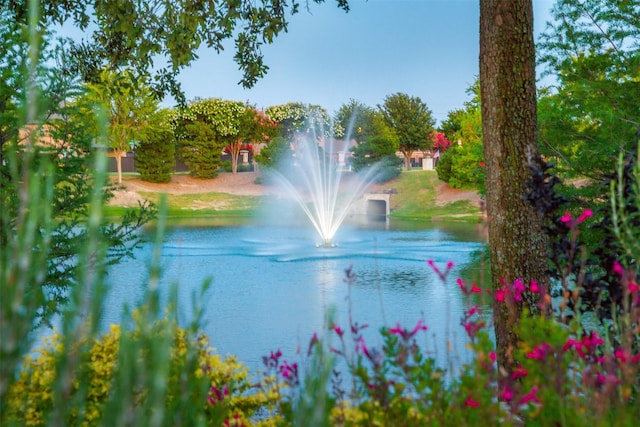 water view