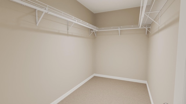 walk in closet featuring carpet