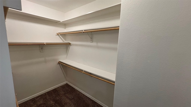 spacious closet featuring dark colored carpet